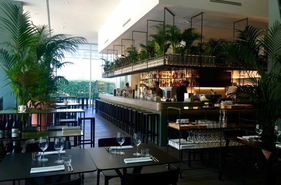 The Botanical Club