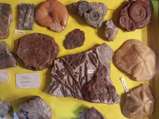 Bar Piccolo Museo