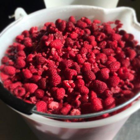 Gelateria Giavazzi