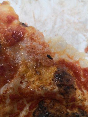 La Pizza Anima E Farina