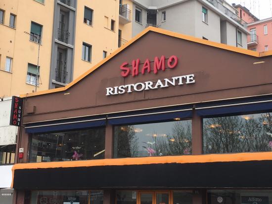 Shamo