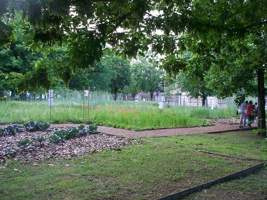 Museo botanico "Aurelia Josz"