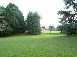 Parco Montecchio