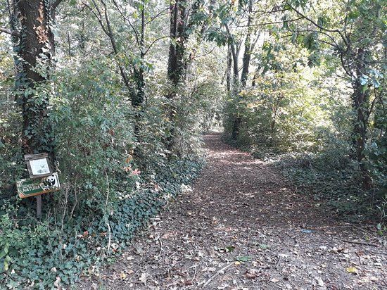 Oasi Wwf Bosco Villoresi