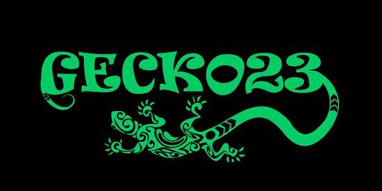 Gecko 23