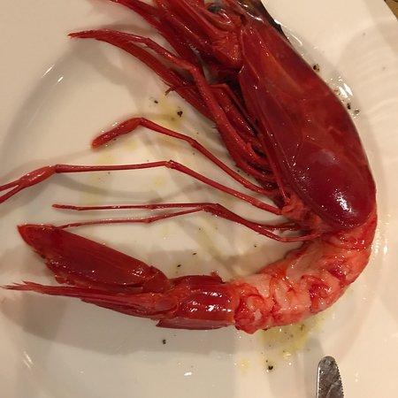 Trattoria Il Marinaio