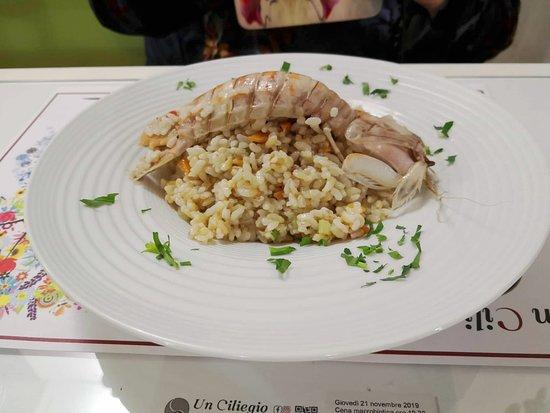Un Ciliegio