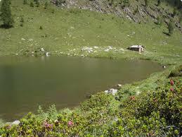 Alpe Culino