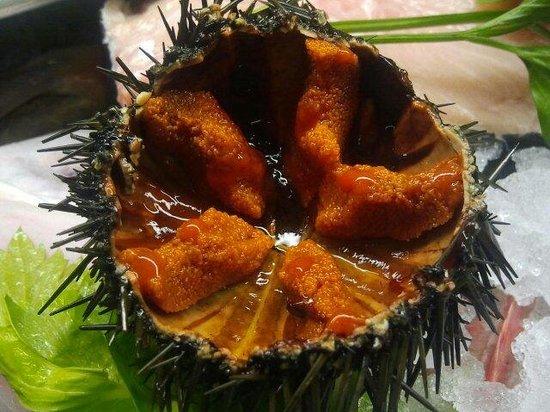 Osteria Il Riccio di Mare