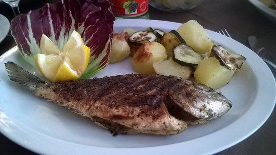 Bar Ristorante Il Portico