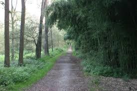 Parco Sora