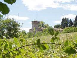 Castello di Frascarolo
