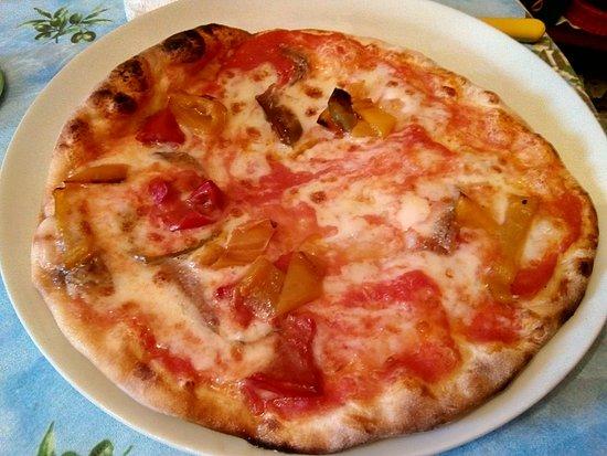 Il Delfino
