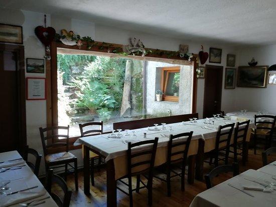Agriturismo Gallo Rosso