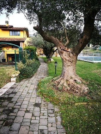 Agriturismo Bortolino