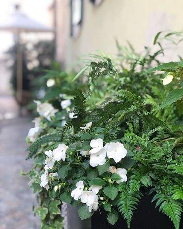 Garden L'Andrunel