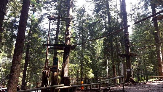 Parco Sospeso Nel Bosco