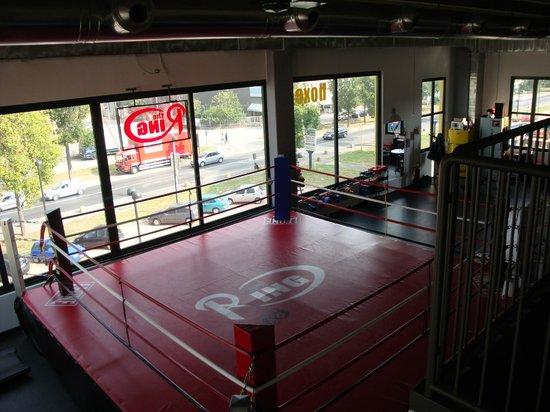 Palestra the Ring