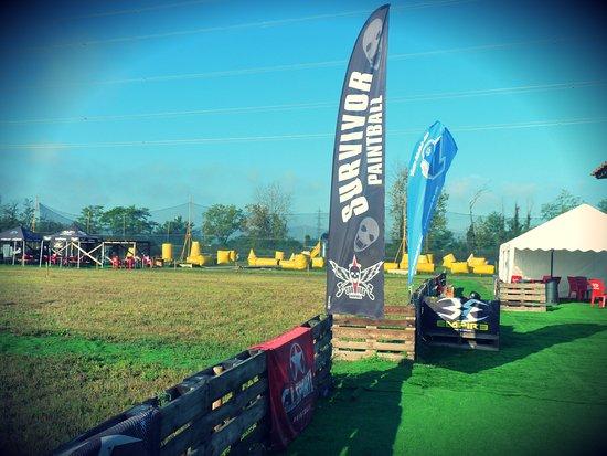 Survivor Paintball Arena