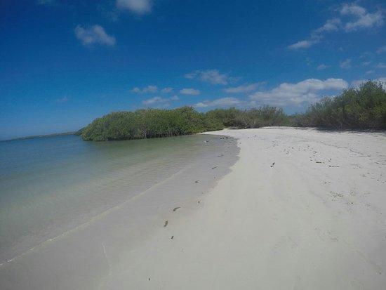 Tortuga Bay
