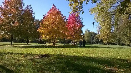 parco locale del bosco di Legnano