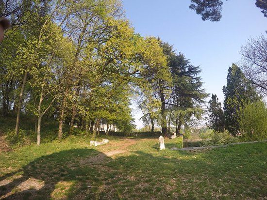 Parco di Bacco