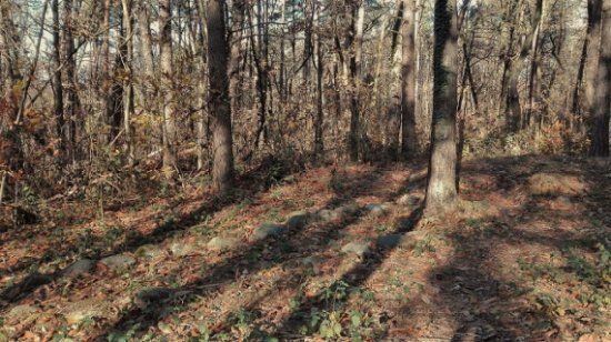 l'Area Archeologica di Monsorino di Golasecca