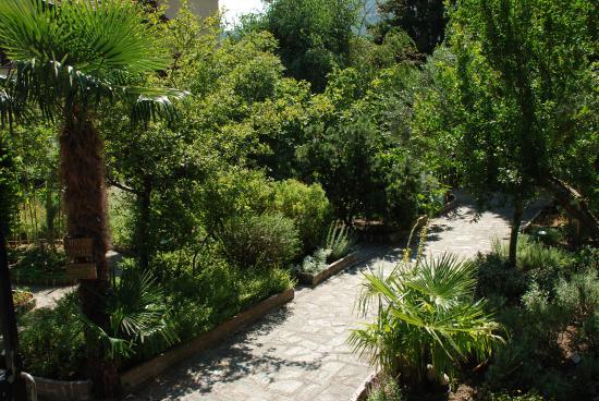 Orto Botanico