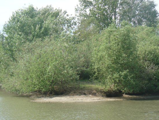 Parco La Barona