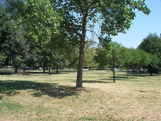Parco Giovannino Guareschi