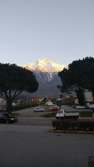 Conad