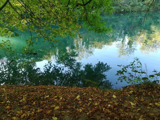 Parco Gianpiero Metelli