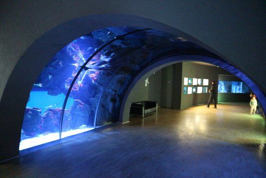 Acquario civico di Milano