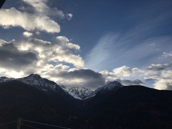 Il Cavallino