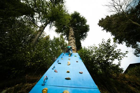Parco Avventura Rimbalzello Adventure