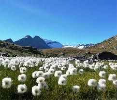 Piz Fora