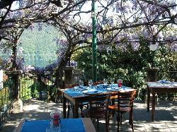 Trattoria del Glicine