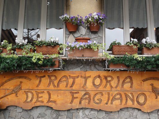 Ristorante Trattoria del Fagiano