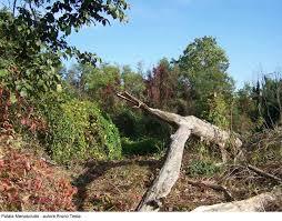 Riserva naturale Palata Menasciutto