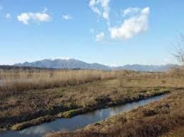 Parco Callioni
