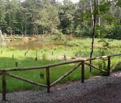 Parco Pineta di Appiano Gentile e Tradate