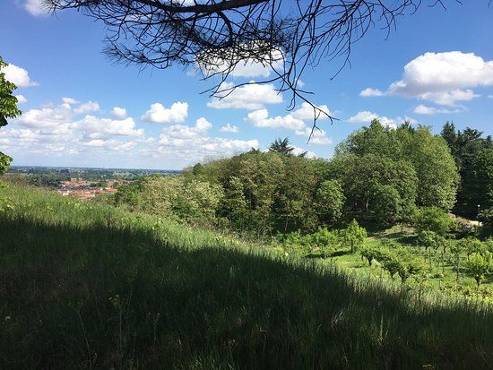 Parco della Collina