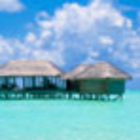 Yo Island