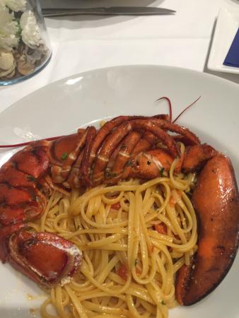 Pizzeria E Ristorante Gallo Rosso