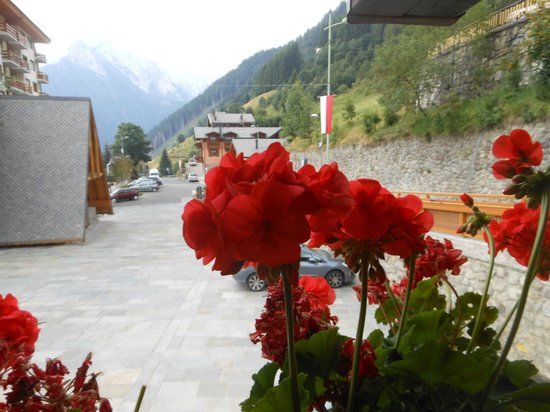 Hotel Rododendro